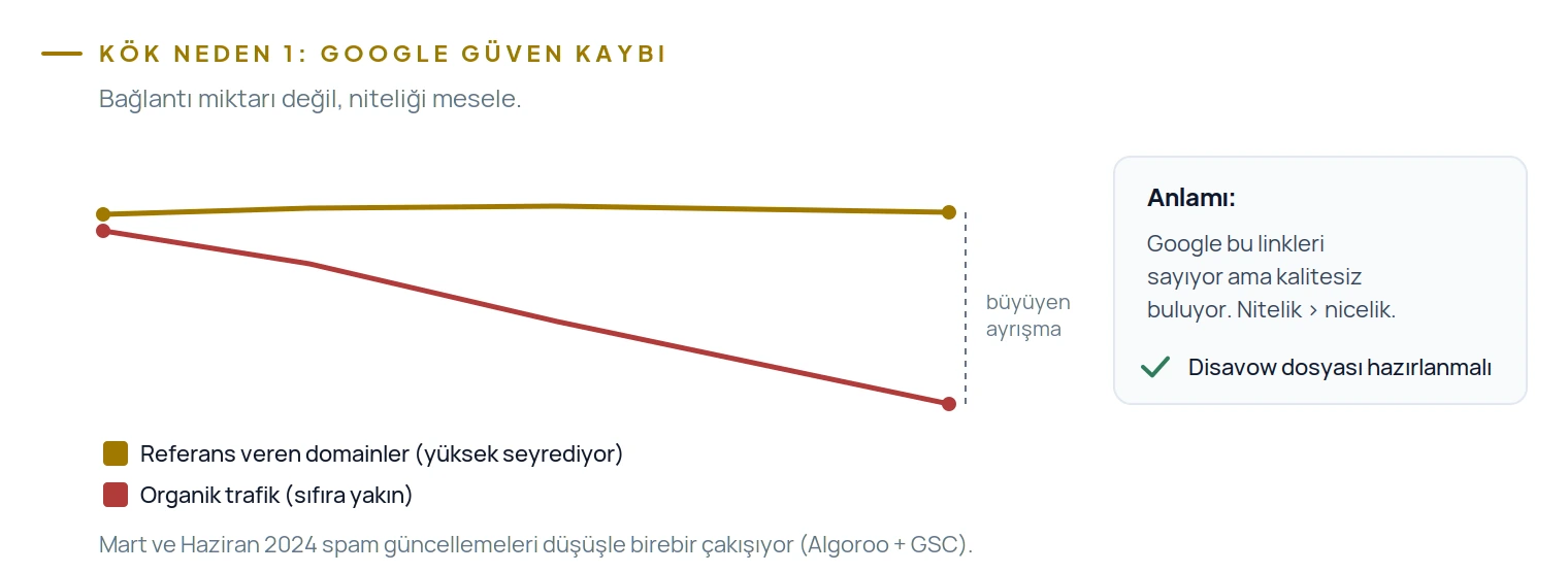 Referans veren domain sayısı yüksek seyrederken organik trafik sıfıra yaklaşıyor; Google linkleri sayıyor ama kalitesiz buluyor