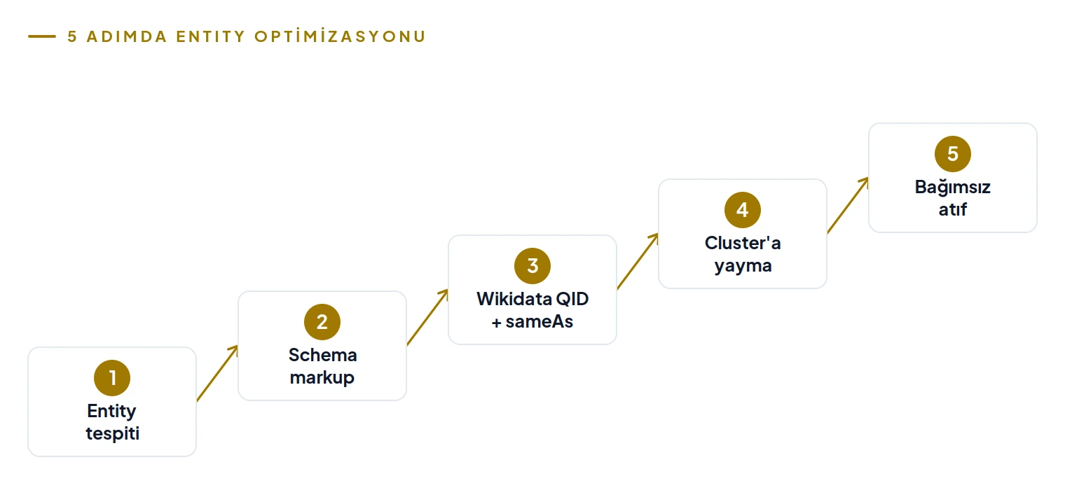 Entity optimizasyonunun beş adımı: tespit, schema, Wikidata QID, cluster, bağımsız atıf