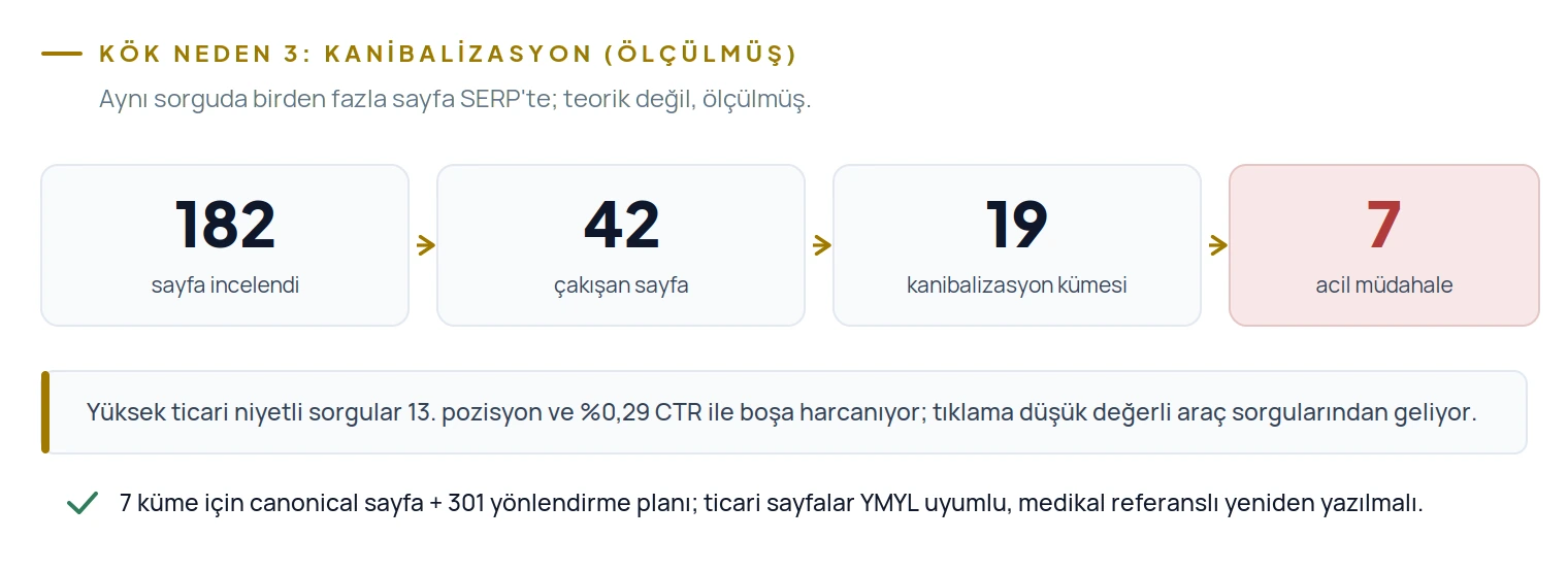182 sayfanın analizinde 42 çakışan sayfa 19 küme oluşturdu, 7'si acil müdahale gerektiriyordu