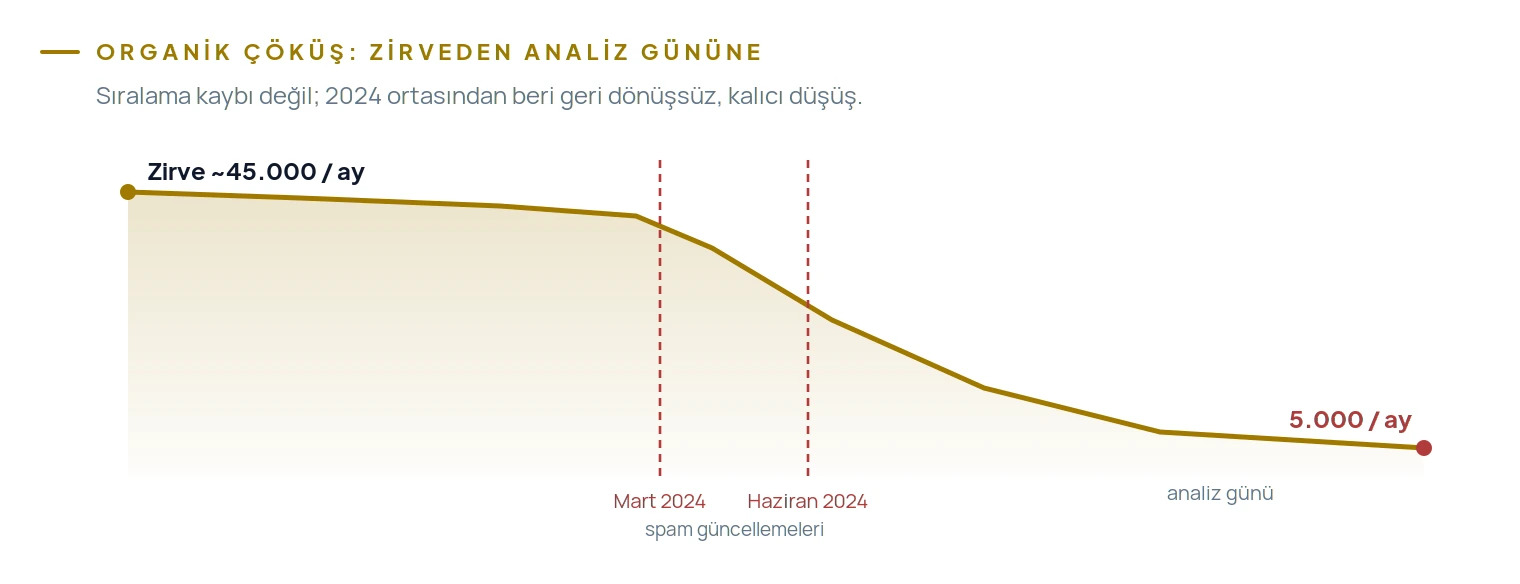 Zirvede aylık ~45.000 organik ziyaret, Mart ve Haziran 2024 spam güncellemelerinden sonra analiz günü 5.000'e indi