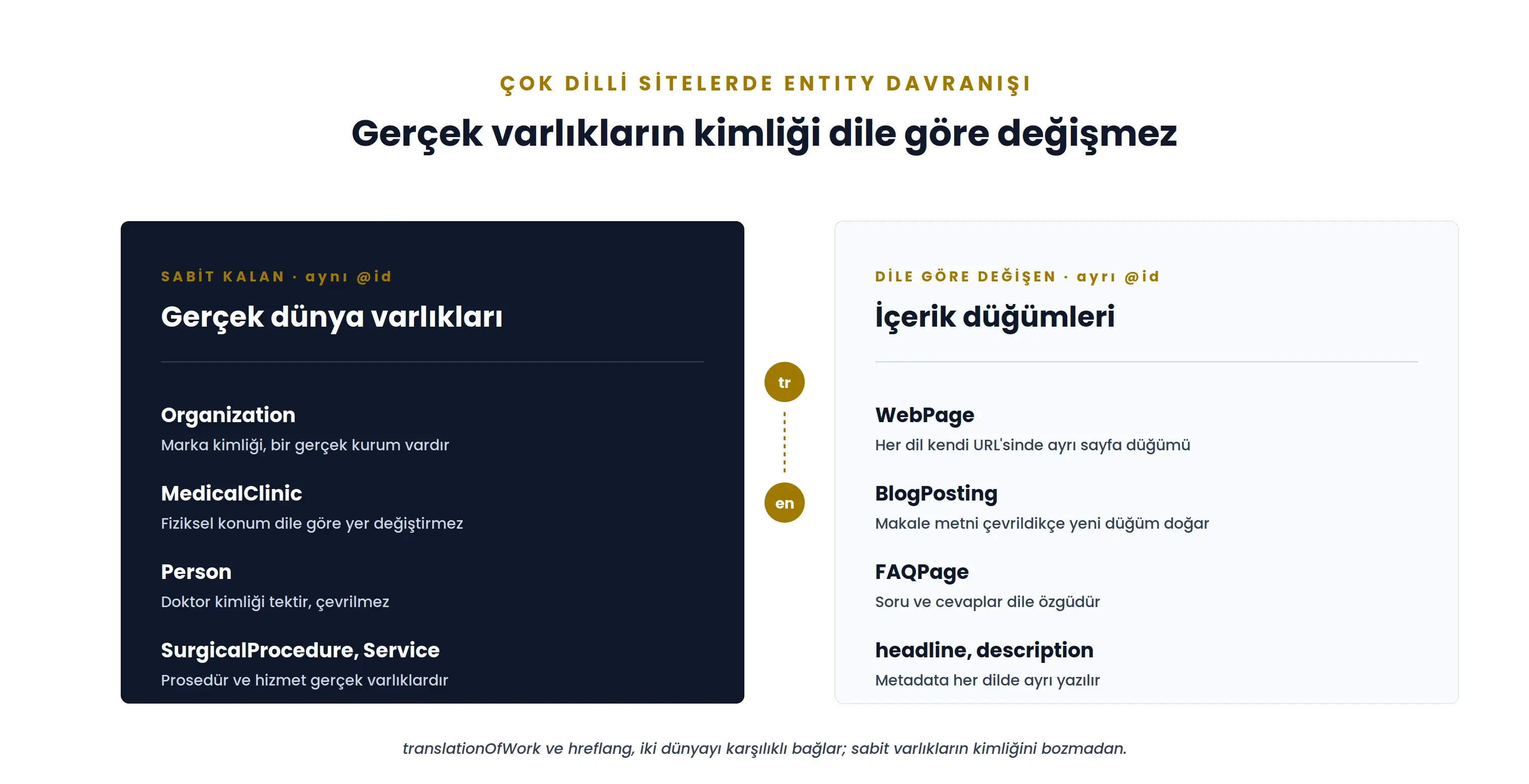 Çok dilli sitede sabit kalan gerçek dünya varlıkları ile dile göre değişen içerik düğümlerinin karşılaştırması
